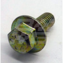 Image for Flanged set screw