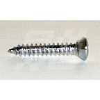 Image for CHROME SCREW TD TF