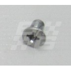 Image for Chrome screw c/s 3/16