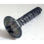 Image for SCREW RV8