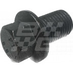 Image for Plug oil sump ZT R75 2.0L Diesel