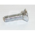 Image for CHROME SCREW