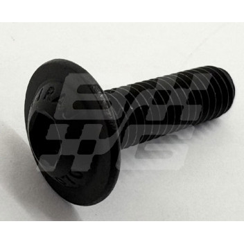 Image for Number plate screws black Stainless steel MG HS