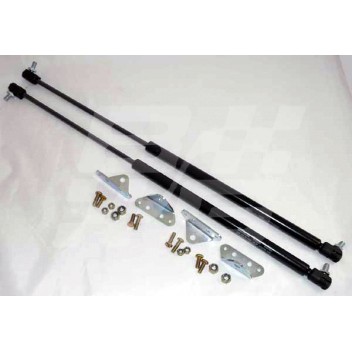 Image for Tailgate gas strut kit MGB GT