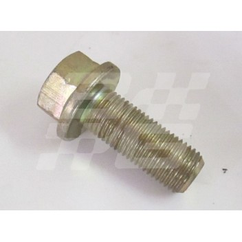 Image for SCREW