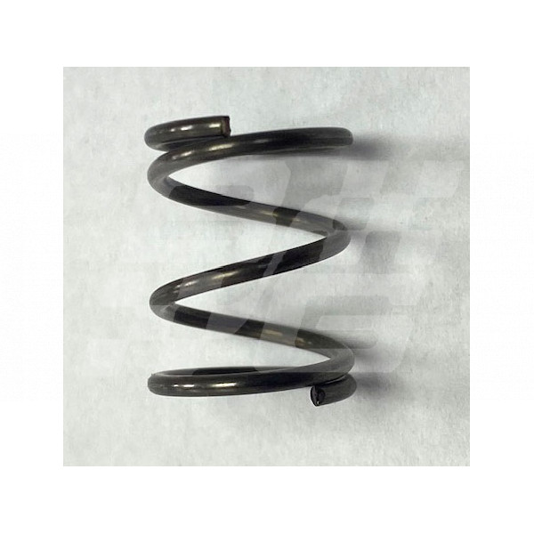 Image for Bonnet/Boot prop spring