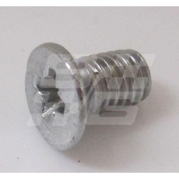 Image for Chrome screw CSK 3/16