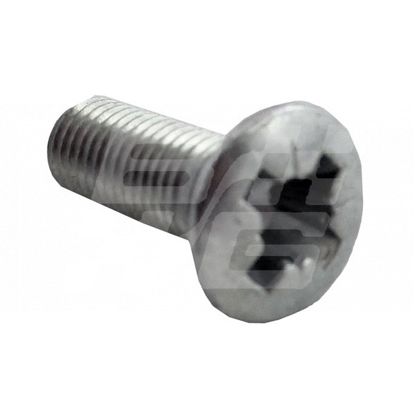 Image for SCREW DOOR HINGE MGB CONE HD