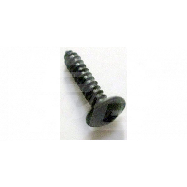 Image for SCREW