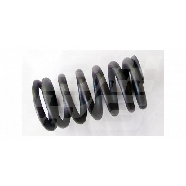 Image for Valve spring Rover 45 MG ZS 'T' series